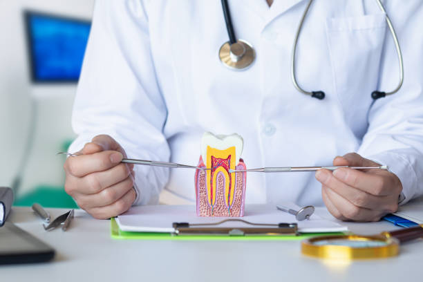 Best Emergency Dental Care for Broken or Chipped Teeth in Lexington, TX